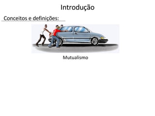 Introdução Conceitos e definições: Mutualismo 