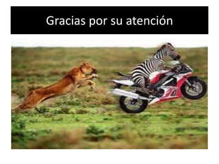 Gracias por su atención
 
