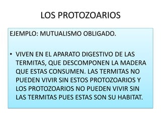 LOS PROTOZOARIOS
EJEMPLO: MUTUALISMO OBLIGADO.

• VIVEN EN EL APARATO DIGESTIVO DE LAS
  TERMITAS, QUE DESCOMPONEN LA MADERA
  QUE ESTAS CONSUMEN. LAS TERMITAS NO
  PUEDEN VIVIR SIN ESTOS PROTOZOARIOS Y
  LOS PROTOZOARIOS NO PUEDEN VIVIR SIN
  LAS TERMITAS PUES ESTAS SON SU HABITAT.
 