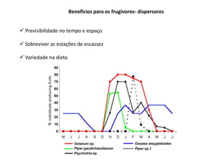 Benefícios para os frugívoros- dispersores


 Previsibilidade no tempo e espaço

 Sobreviver as estações de escassez

 Variedade na dieta
 