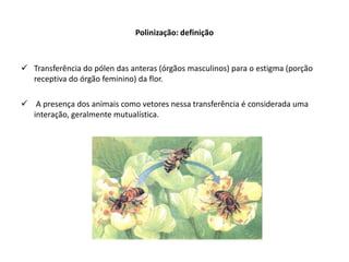 Polinização: definição



 Transferência do pólen das anteras (órgãos masculinos) para o estigma (porção
  receptiva do órgão feminino) da flor.

 A presença dos animais como vetores nessa transferência é considerada uma
  interação, geralmente mutualística.
 