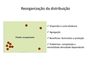 Reorganização da distribuição



                Dispersão a curta distância

                Agregação

                Benefícios: Nutrientes e proteção

                Problemas: competição e
               mortalidade densidade-dependente
 