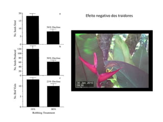 Efeito negativo dos traidores
 