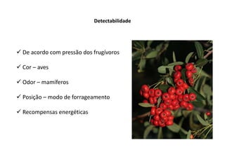 Detectabilidade
 De acordo com pressão dos frugívoros
 Cor – aves
 Odor – mamíferos
 Posição – modo de forrageamento
 Recompensas energéticas
 