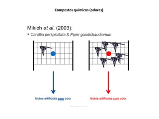 Compostos químicos (odores)
 