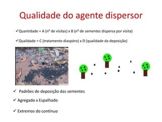 Qualidade do agente dispersor
 Padrões de deposição das sementes
 Agregado x Espalhado
 Extremos do contínuo
Quantidade = A (n0 de visitas) x B (n0 de sementes dispersa por visita)
Qualidade = C (tratamento diaspóro) x D (qualidade da deposição)
 