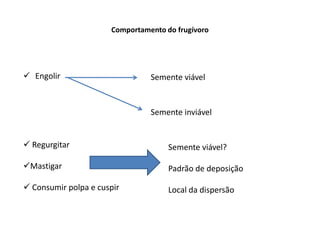 Comportamento do frugívoro
 Engolir Semente viável
Semente inviável
 Regurgitar
Mastigar
 Consumir polpa e cuspir
Semente viável?
Padrão de deposição
Local da dispersão
 