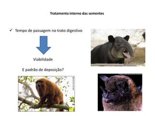Tratamento interno das sementes
 Tempo de passagem no trato digestivo
Viabilidade
E padrão de deposição?
 