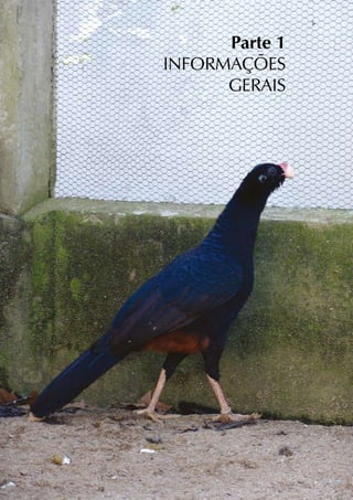 Parte 1
INFORMAÇÕES
      GERAIS
 