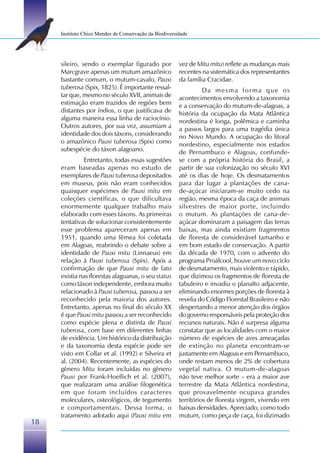 Instituto Chico Mendes de Conservação da Biodiversidade




     sileiro, sendo o exemplar figurado por             vez de Mitu mitu) reflete as mudanças mais
     Marcgrave apenas um mutum amazônico                recentes na sistemática dos representantes
     bastante comum, o mutum-cavalo, Pauxi              da família Cracidae.
     tuberosa (Spix, 1825). É importante ressal-                  Da mesma forma que os
     tar que, mesmo no século XVII, animais de          acontecimentos envolvendo a taxonomia
     estimação eram trazidos de regiões bem             e a conservação do mutum-de-alagoas, a
     distantes por índios, o que justificava de         história da ocupação da Mata Atlântica
     alguma maneira essa linha de raciocínio.           nordestina é longa, polêmica e caminha
     Outros autores, por sua vez, assumiam a            a passos largos para uma tragédia única
     identidade dos dois táxons, considerando           no Novo Mundo. A ocupação do litoral
     o amazônico Pauxi tuberosa (Spix) como             nordestino, especialmente nos estados
     subespécie do táxon alagoano.                      de Pernambuco e Alagoas, confunde-
              Entretanto, todas essas sugestões         se com a própria história do Brasil, a
     eram baseadas apenas no estudo de                  partir de sua colonização no século XVI
     exemplares de Pauxi tuberosa depositados           até os dias de hoje. Os desmatamentos
     em museus, pois não eram conhecidos                para dar lugar a plantações de cana-
     quaisquer espécimes de Pauxi mitu em               de-açúcar iniciaram-se muito cedo na
     coleções científicas, o que dificultava            região, mesma época da caça de animais
     enormemente qualquer trabalho mais                 silvestres de maior porte, incluindo
     elaborado com esses táxons. As primeiras           o mutum. As plantações de cana-de-
     tentativas de solucionar consistentemente          açúcar dominaram a paisagem das terras
     esse problema apareceram apenas em                 baixas, mas ainda existiam fragmentos
     1951, quando uma fêmea foi coletada                de floresta de considerável tamanho e
     em Alagoas, reabrindo o debate sobre a             em bom estado de conservação. A partir
     identidade de Pauxi mitu (Linnaeus) em             da década de 1970, com o advento do
     relação à Pauxi tuberosa (Spix). Após a            programa Proálcool, houve um novo ciclo
     confirmação de que Pauxi mitu de fato              de desmatamento, mais violento e rápido,
     existia nas florestas alagoanas, o seu status      que dizimou os fragmentos de floresta de
     como táxon independente, embora muito              tabuleiro e invadiu o planalto adjacente,
     relacionado à Pauxi tuberosa, passou a ser         eliminando enormes porções de floresta à
     reconhecido pela maioria dos autores.              revelia do Código Florestal Brasileiro e não
     Entretanto, apenas no final do século XX           despertando a menor atenção dos órgãos
     é que Pauxi mitu passou a ser reconhecido          do governo responsáveis pela proteção dos
     como espécie plena e distinta de Pauxi             recursos naturais. Não é surpresa alguma
     tuberosa, com base em diferentes linhas            constatar que as localidades com o maior
     de evidência. Um histórico da distribuição         número de espécies de aves ameaçadas
     e da taxonomia desta espécie pode ser              de extinção no planeta encontram-se
     visto em Collar et al. (1992) e Silveira et        justamente em Alagoas e em Pernambuco,
     al. (2004). Recentemente, as espécies do           onde restam menos de 2% de cobertura
     gênero Mitu foram incluídas no gênero              vegetal nativa. O mutum-de-alagoas
     Pauxi por Frank-Hoeflich et al. (2007),            não teve melhor sorte – era a maior ave
     que realizaram uma análise filogenética            terrestre da Mata Atlântica nordestina,
     em que foram incluídos caracteres                  que provavelmente ocupava grandes
     moleculares, osteológicos, de tegumento            territórios de floresta virgem, vivendo em
     e comportamentais. Dessa forma, o                  baixas densidades. Apreciado, como todo
     tratamento adotado aqui (Pauxi mitu em             mutum, como peça de caça, foi dizimado
18
 
