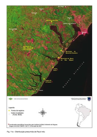 Fig. 11a – Distribuição presumida de Pauxi mitu
 