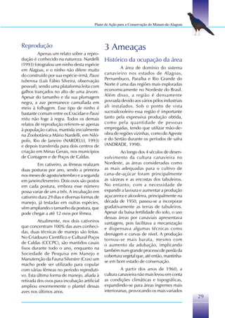 Plano de Ação para a Conservação do Mutum-de-Alagoas




Reprodução                                    3 Ameaças
         Apenas um relato sobre a repro-
dução é conhecido na natureza. Nardelli       Histórico da ocupação da área
(1993) fotografou um ninho desta espécie
em Alagoas, e o ninho não difere muito                 A área de domínio do sistema
do construído por sua espécie-irmã, Pauxi     canavieiro nos estados de Alagoas,
tuberosa (Luís Fábio Silveira, observação     Pernambuco, Paraíba e Rio Grande do
pessoal), sendo uma plataforma feita com      Norte é uma das regiões mais exploradas
galhos trançados no alto de uma árvore.       economicamente no Nordeste do Brasil.
Apesar do tamanho e da sua plumagem           Além disso, a região é densamente
negra, a ave permanece camuflada em           povoada devido aos vários pólos industriais
meio à folhagem. Esse tipo de ninho é         ali instalados. Sob o ponto de vista
bastante comum entre os Cracidae e Pauxi      sucroalcooleiro essa região é importante
mitu não foge à regra. Todos os demais        tanto pela expressiva produção obtida,
relatos de reprodução referem-se apenas       como pela quantidade de pessoas
à população cativa, mantida inicialmente      empregadas, tendo que utilizar mão-de-
na Zoobotânica Mário Nardelli, em Niló-       obra de regiões vizinhas, como do Agreste
polis, Rio de Janeiro (NARDELLI, 1993)        e do Sertão durante os períodos de safra
e depois transferida para dois centros de     (ANDRADE, 1998).
criação em Minas Gerais, nos municípios               Ao longo dos 4 séculos de desen-
de Contagem e de Poços de Caldas.             volvimento da cultura canavieira no
         Em cativeiro, as fêmeas realizam     Nordeste, as áreas consideradas como
duas posturas por ano, sendo a primeira       as mais adequadas para o cultivo de
nos meses de agosto/setembro e a segunda      cana-de-açúcar foram principalmente
em janeiro/fevereiro. Dois ovos são postos    as várzeas e as encostas dos tabuleiros.
em cada postura, embora esse número           No entanto, com a necessidade de
possa variar de um a três. A incubação em     expandir a lavoura e aumentar a produção
cativeiro dura 29 dias e diversas formas de   açucareira e alcooleira, principalmente na
manejo, já testadas em outras espécies,       década de 1950, passou-se a incorporar
vêm ampliando o tamanho da postura, que       gradativamente as terras de tabuleiros.
pode chegar a até 12 ovos por fêmea.          Apesar da baixa fertilidade do solo, o uso
                                              dessas áreas por canaviais apresentava
         Atualmente, nos dois cativeiros      vantagens, pois facilitava a mecanização
que concentram 100% das aves conheci-         e dispensava algumas técnicas como
das, duas técnicas de manejo são feitas.      drenagem e curvas de nível. A produção
No Criadouro Científico e Cultural Poços      tornou-se mais barata, mesmo com
de Caldas (CCCPC), são mantidos casais        o aumento da adubação, implicando
fixos durante todo o ano, enquanto na
                                              também num grande processo de perda da
Sociedade de Pesquisa em Manejo e
                                              cobertura vegetal que, até então, mantinha-
Manutenção da Fauna Silvestre (Crax) um
                                              se em bom estado de conservação.
macho pode ser utilizado para copular
com várias fêmeas no período reproduti-                A partir dos anos de 1960, a
vo. Esta última forma de manejo, aliada à     cultura canavieira não mais levou em conta
retirada dos ovos para incubação artificial   as condições climáticas e topográficas,
ampliou enormemente o plantel dessas          expandindo-se para áreas íngremes mais
aves nos últimos anos.                        interioranas, provocando os mais variados
                                                                                               29
 