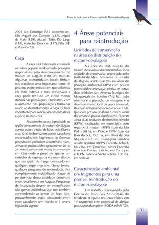 Plano de Ação para a Conservação do Mutum-de-Alagoas




2005 são Coruripe (553 ocorrências),
São Miguel dos Campos (217), Jequiá            4 Áreas potenciais
da Praia (159), Atalaia (156), Rio Largo
(118), Marechal Deodoro (117), Pilar (91)        para reintrodução
e Maceió (72).
                                               Unidades de conservação
                                               na área de distribuição do
Caça                                           mutum-de-alagoas
         A caça está fortemente enraizada
                                                        Na área de distribuição do
na cultura popular, sendo uma das principais
                                               mutum-de-alagoas são encontradas cinco
responsáveis pelo desaparecimento do
                                               unidades de conservação gerenciadas pelo
mutum-de-alagoas e do seu habitat.             Instituto de Meio Ambiente do estado
Algumas comunidades locais tinham              de Alagoas, sendo que três são áreas de
nos cracídeos uma importante fonte de          proteção ambiental (APA) com pouco
proteína e em períodos em que a floresta       potencial de conservação efetiva. As outras
era mais extensa e mais preservada a           duas unidades são: Reserva Ecológica de
caça pode ter tido um efeito menos             Manguezais do Roteiro (742 ha), cujo
danoso nas populações. Entretanto, com         objetivo é a proteção de mangues e o
o aumento das populações humanas               desenvolvimento local da pesca artesanal;
aliado ao desmatamento, a caça foi fator       Reserva Ecológica de Saco da Pedra (5 ha),
importante para o desaparecimento desta        que sofre pressão do fluxo turístico, além
espécie na natureza.                           do tamanho pouco significativo. Existem
                                               ainda duas unidades de domínio privado
          Atualmente, a caça é praticada na
                                               (RPPN) localizadas em municípios com
região de ocorrência do mutum-de-alagoas
                                               registros do mutum (RPPN Fazenda São
apenas com o intuito de lazer, pois Silveira
                                               Pedro, 50 ha, em Pilar; e RPPN Fazenda
et al. (2003) observaram que os caçadores      Rosa do Sol, 15,5 ha, em Barra de São
encontrados nos fragmentos de florestas        Miguel) e três em municípios vizinhos
pesquisados possuíam automóveis, cães,         aos de registros (RPPN Fazenda Lobo I,
armas de grosso calibre (geralmente 20 ou      68,6 ha, em Coruripe; RPPN Fazenda
28 mm) e utilizavam munição comprada           Francisco Pereira, 290 ha, em Coruripe;
em lojas onde o preço de apenas um             e RPPN Fazenda Santa Tereza, 100 ha,
cartucho de espingarda era mais alto do        em Atalaia).
que um quilo de frango comprado em
qualquer supermercado. Dessa forma,
qualquer programa de reintrodução fica         Caracterização ambiental
completamente inviabilizado diante da          dos fragmentos para uma
persistência dessa atividade criminosa
onde resta floresta em Alagoas. Programas
                                               possível reintrodução do
de fiscalização devem ser intensificados       mutum-de-alagoas
não apenas coibindo a caça, mas também                 Um trabalho desenvolvido pelo
apreendendo as armas de fogo que,              Centro de Pesquisas Ambientais do
provavelmente, estão circulando entre          Nordeste (Cepan) realizou visitas em
esses caçadores sem obedecer à severa          19 fragmentos com potencial de abrigar
legislação vigente.                            populações da espécie (RODA e SANTOS,
                                                                                                31
 