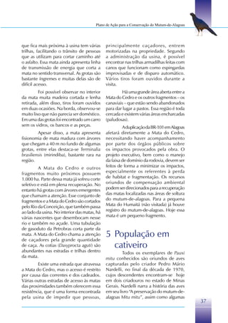 Plano de Ação para a Conservação do Mutum-de-Alagoas




que fica mais próxima à usina tem várias      principalmente caçadores, entrem
trilhas, facilitando o trânsito de pessoas    motorizadas na propriedade. Segundo
que as utilizam para cortar caminho até       a administração da usina, é possível
o asfalto. Essa mata ainda apresenta linha    encontrar nas trilhas armadilhas feitas com
de transmissão de energia que corta a         canos que funcionam como espingardas
mata no sentido transversal. As grotas são    improvisadas e de disparo automático.
bastante íngremes e muitas delas são de       Vários tiros foram ouvidos durante a
difícil acesso.                               visita.
         Foi possível observar no interior            Há uma grande área aberta entre a
da mata muita madeira cortada e lenha         Mata do Cedro e os outros fragmentos – os
retirada, além disso, tiros foram ouvidos     canaviais – que estão sendo abandonados
em duas ocasiões. Na borda, observou-se       para dar lugar a pastos. Essa região é toda
muito lixo que não parecia ser doméstico.     cercada e existem várias áreas encharcadas
Em uma das grotas foi encontrado um carro     (paludosas).
sem os vidros, os bancos e as peças.                   A duplicação da BR-101 em Alagoas
         Apesar disso, a mata apresenta       afetará diretamente a Mata do Cedro,
fisionomia de mata madura com árvores         necessitando haver acompanhamento
que chegam a 40 m no fundo de algumas         por parte dos órgãos públicos sobre
grotas, entre elas destaca-se Terminalia      os impactos provocados pela obra. O
brasiliensis (mirindiba), bastante rara na    projeto executivo, bem como o manejo
região.                                       da faixa de domínio da rodovia, devem ser
         A Mata do Cedro e outros             feitos de forma a minimizar os impactos,
fragmentos muito próximos possuem             especialmente os referentes à perda
1.000 ha. Parte dessa mata já sofreu corte    de habitat e fragmentação. Os recursos
seletivo e está em plena recuperação. No      oriundos de compensação ambiental
entanto há grotas com árvores emergentes      podem ser direcionados para a recuperação
que chamam a atenção. Esse conjunto de        das matas localizadas nas áreas de soltura
fragmentos e a Mata do Cedro são cortados     do mutum-de-alagoas. Para a pequena
pelo Rio da Conceição, que também passa       Mata do Humaitá (não visitada) já houve
ao lado da usina. No interior das matas, há   registro do mutum-de-alagoas. Hoje essa
várias nascentes que desembocam nesse         mata é um pequeno fragmento.
rio e também no açude. Uma tubulação
de gasoduto da Petrobras corta parte da
mata. A Mata do Cedro chama a atenção
de caçadores pela grande quantidade
                                              5 População em
de caça. As cotias (Dasyprocta aguti) são
abundantes nas estradas e trilhas dentro
                                                cativeiro
                                                       Todos os exemplares de Pauxi
da mata.                                      mitu conhecidos são oriundos de aves
         Existe uma estrada que atravessa     capturadas pelo criador Pedro Mário
a Mata do Cedro, mas o acesso é restrito      Nardelli, no final da década de 1970,
por causa das correntes e dos cadeados.       cujos descendentes encontram-se hoje
Várias outras estradas de acesso às matas     em dois criadouros no estado de Minas
das proximidades também oferecem essa         Gerais. Nardelli narra a história das aves
resistência, que é uma forma encontrada       em seu livro “A preservação do mutum-de-
pela usina de impedir que pessoas,            alagoas Mitu mitu”, assim como algumas
                                                                                               37
 