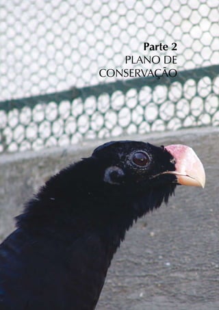 Parte 2
   PLANO DE
CONSERVAÇÃO
 