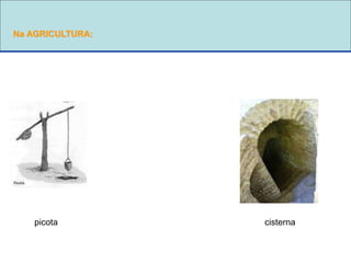 Na AGRICULTURA:
picota cisterna
 