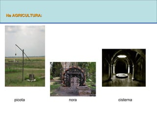 Na AGRICULTURA:Na AGRICULTURA:
picota nora cisterna
 