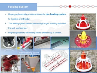 Feed Main Muyang Farm Engineering - Feeding and Raising System | PPTX