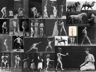 Les images animées Eadward Muybridge