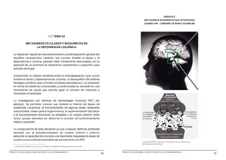 GRÁFICO 8
                                                                                                                                                                    MECANISMOS BIOQUÍMICOS QUE INTERVIENEN
                                                                                                                                                                    CUANDO HAY CONSUMO DE SPAS COCAÍNICAS




                                                                   1.7. TEMA VII

                            MECANISMOS CELULARES Y BIOQUÍMICOS EN
                                  LA DEPENDENCIA COCAÍNICA

     La depleción7 aguda de neurotransmisores y la desregulación general del
     equilibrio neuroquímico cerebral, que ocurren durante el abuso y la
     dependencia a cocaína, parecen estar íntimamente relacionados con la
     aparición de un síndrome de abstinencia característico y específico para
     este tipo de droga.

     Comprender la relación existente entre la neuroadaptación (que ocurre
     durante el abuso y dependencia de cocaína), el desequilibrio del sistema
     fisiológico cerebral (que controlan procesos psicológicos) y su expresión
     en forma de trastornos emocionales y conductuales se convierte en una
     herramienta de ayuda que permite guiar el proceso de inducción y
     motivación en la terapia.
                                                                                                                                                                                                  Neurona
                                                                                                                                                                                                Transmisora
                                                                                                                                                                                                  Dopamina
     La investigación con técnicas de neuroimagen funcional (PET por                                                                                                                         empacada en vesiculas
     ejemplo), ha permitido conocer que durante la historia del abuso de
     sustancias cocaínicas, el funcionamiento de algunas áreas cerebrales
     subcorticales, vitales para la supervivencia, la experimentación del placer                                                                                  El transportador                                                 El transportador
                                                                                                                                                                  de la dopamina                                                    de la dopamina
     y el funcionamiento emocional (la amígdala o el cíngulo anterior, entre                                                                                                                                                         bloqueada por
                                                                                                                                                                  funcionando
     otras), quedan alterados por efecto de un proceso de condicionamiento                                                                                        normalmente                                                               cocaína

     clásico y operante.
                                                                                                                                                                                                                                  Cocaína
     La consecuencia de esta alteración es que cualquier estímulo ambiental
     asociado con la autoadministración de cocaína (interno o externo)
                                                                                                                                                                                       Receptores de la dopamina
     adquirirá la capacidad de provocar una importante respuesta de deseo de                                                                                                              Neurona Receptora
     cocaína y una conducta automática de acercamiento a la SPA.
                                                                                                                                                                 Cortesìa: NIDA (1999). Cocaine abuse and addiction. Research Report Series.
                                                                                                                                                                 NIH Publication Number 99-4342
     7
         La depleción hace referencia a la acción y efecto de disminuir la cantidad de los líquidos del cuerpo o de un órgano.


Manual de consejo psicológico y terapia motivacional en casos de drogodependencias                                                    Manual de consejo psicológico y terapia motivacional en casos de drogodependencias
                                                                                                                                 45                                                                                                                   47
 