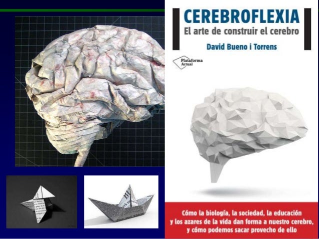 Resultado de imagem para David Bueno cerebroflexia