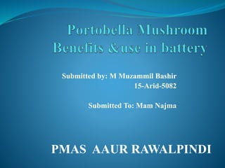 Submitted by: M Muzammil Bashir
15-Arid-5082
Submitted To: Mam Najma
PMAS AAUR RAWALPINDI
 