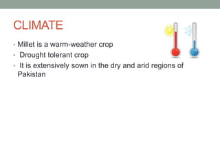 Millets Climate production technology of millet | PPTX