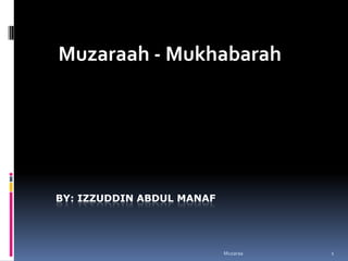 Muzaraa 1 Muzaraah - Mukhabarah By: Izzuddin Abdul manaf 