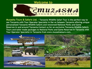 Welcome to  Muzasha Tours & Safaris Ltd. -   Tanzania Wildlife Safari Tour is the perfect way to see Tanzania with Tour Operator Specialist in Dar es Salaaam Tanzania offering unique personalized Tanzania Wildlife Safaris and renowned National Parks and Game Reserves in and around Tanzania.Contact us for an exclusive Tanzania Wildlife Safaris Tours and tailor made packages to National Parks and Game Reserves in Tanzania with Tour Operator Specialist in Tanzania from www.muzashatours.com. 