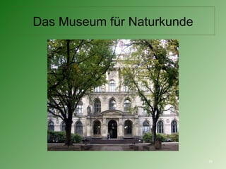 Das Museum für Naturkunde 