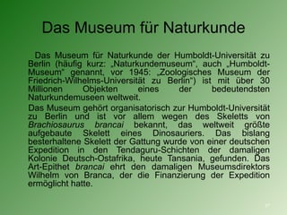 Das Museum für Naturkunde Das Museum für Naturkunde der Humboldt-Universität zu Berlin (häufig kurz: „Naturkundemuseum“, auch „Humboldt-Museum“ genannt, vor 1945: „Zoologisches Museum der Friedrich-Wilhelms-Universität zu Berlin“) ist mit über 30 Millionen Objekten eines der bedeutendsten Naturkundemuseen weltweit. Das Museum gehört organisatorisch zur Humboldt-Universität zu Berlin und ist vor allem wegen des Skeletts von  Brachiosaurus brancai  bekannt, das weltweit größte aufgebaute Skelett eines Dinosauriers. Das bislang besterhaltene Skelett der Gattung wurde von einer deutschen Expedition in den Tendaguru-Schichten der damaligen Kolonie Deutsch-Ostafrika, heute Tansania, gefunden. Das Art-Epithet  brancai  ehrt den damaligen Museumsdirektors Wilhelm von Branca, der die Finanzierung der Expedition ermöglicht hatte. 