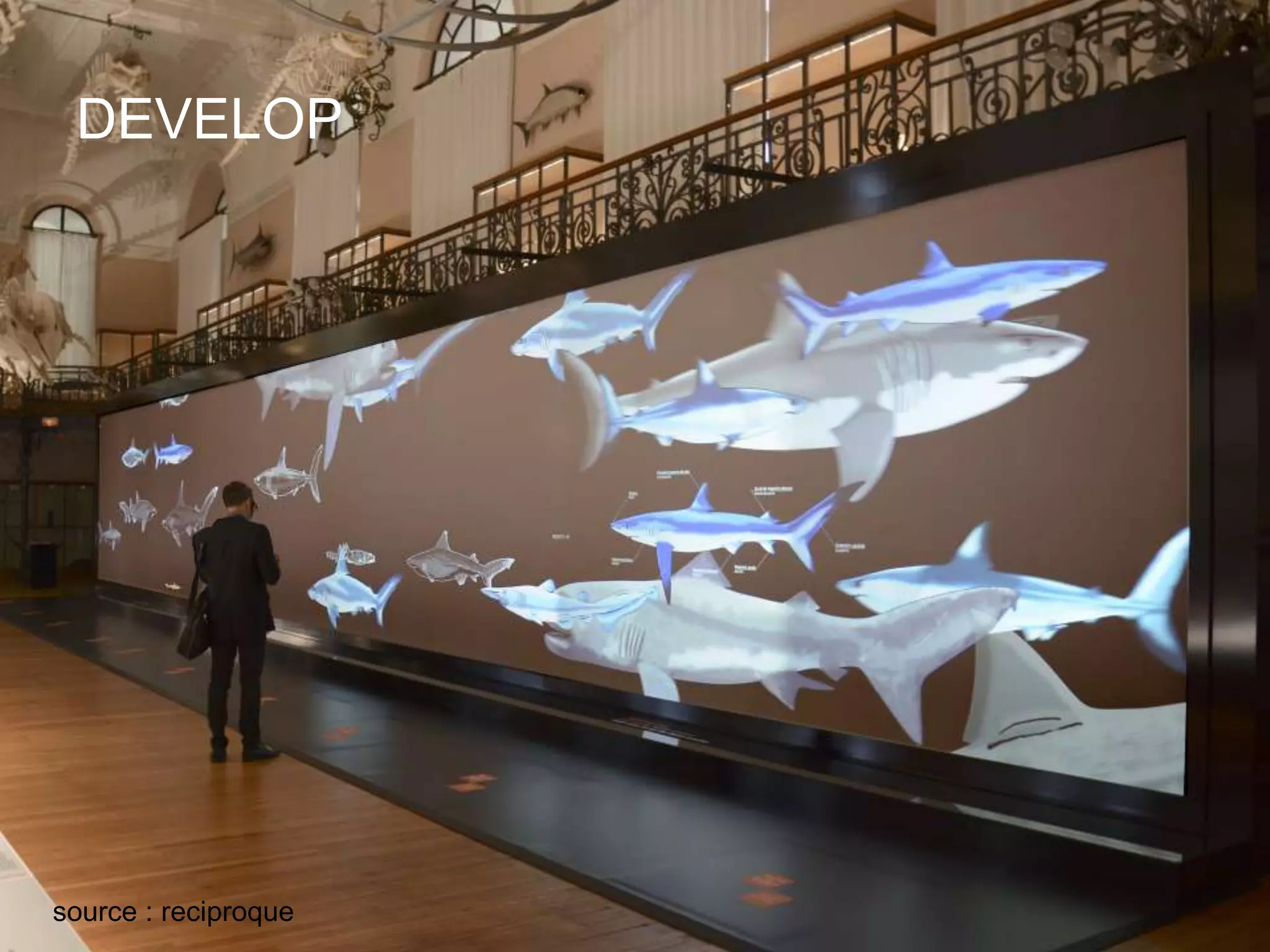 DEVELOP
source : reciproque