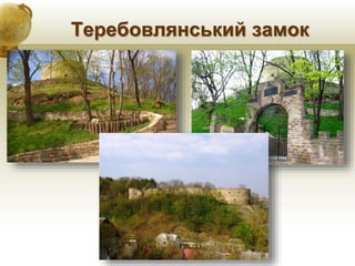 Теребовлянський замок
 