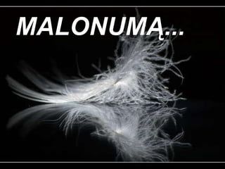 MALONUMĄ...  
