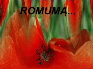 ROMUMĄ...  