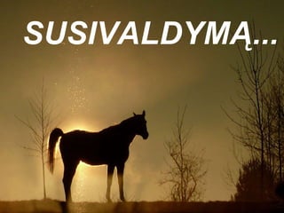 SUSIVALDYMĄ...  