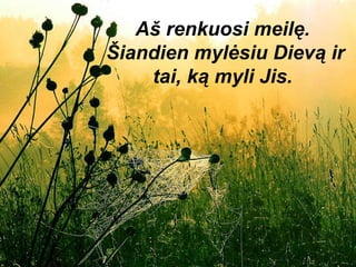 Aš renkuosi meilę.  Šiandien mylėsiu Dievą ir tai, ką myli Jis.  