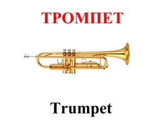 ТРОМПЕТ




Trumpet
 