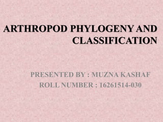 ARTHROPOD PHYLOGENY AND
CLASSIFICATION
PRESENTED BY : MUZNA KASHAF
ROLL NUMBER : 16261514-030
 