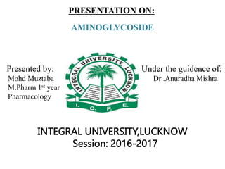 PRESENTATION ON:
AMINOGLYCOSIDE
INTEGRAL UNIVERSITY,LUCKNOW
Session: 2016-2017
Presented by: Under the guidence of:
Mohd Muztaba Dr .Anuradha Mishra
M.Pharm 1st year
Pharmacology
 