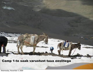 Camp 1-te saab varustust tuua eeslitega

Wednesday, November 4, 2009
 