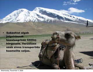 • Subashist algab
    jalgsirännak
    baaslaagrisse 4400m
    kõrgusele. Varustuse
    saab sinna transportida
    kaamelite seljas.




Wednesday, November 4, 2009
 