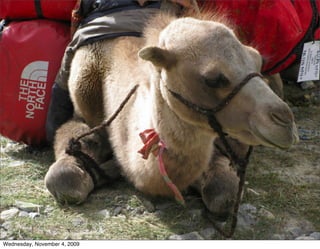 Wednesday, November 4, 2009
 