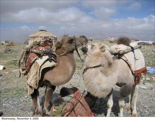 Wednesday, November 4, 2009
 