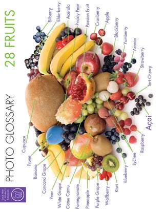 CLICK HERE
TO RETURN TO
 CONTENTS

               PHOTO GLOSSARY   28 FRUITS
 