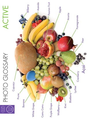 CLICK HERE
TO RETURN TO
 CONTENTS

               PHOTO GLOSSARY   ACTIVE
 