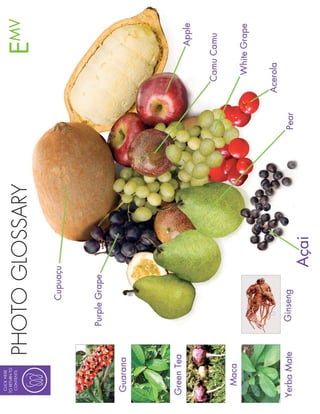 CLICK HERE
TO RETURN TO
 CONTENTS

               PHOTO GLOSSARY   MV
                                E
 