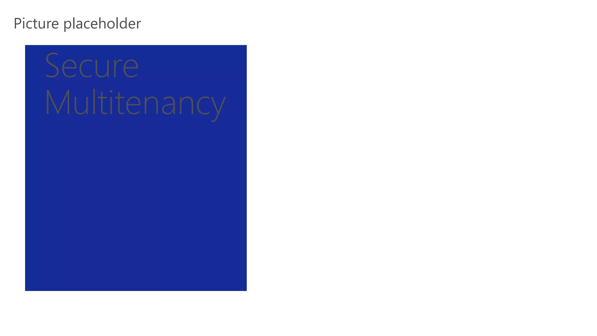 Picture placeholder
Secure
Multitenancy
 