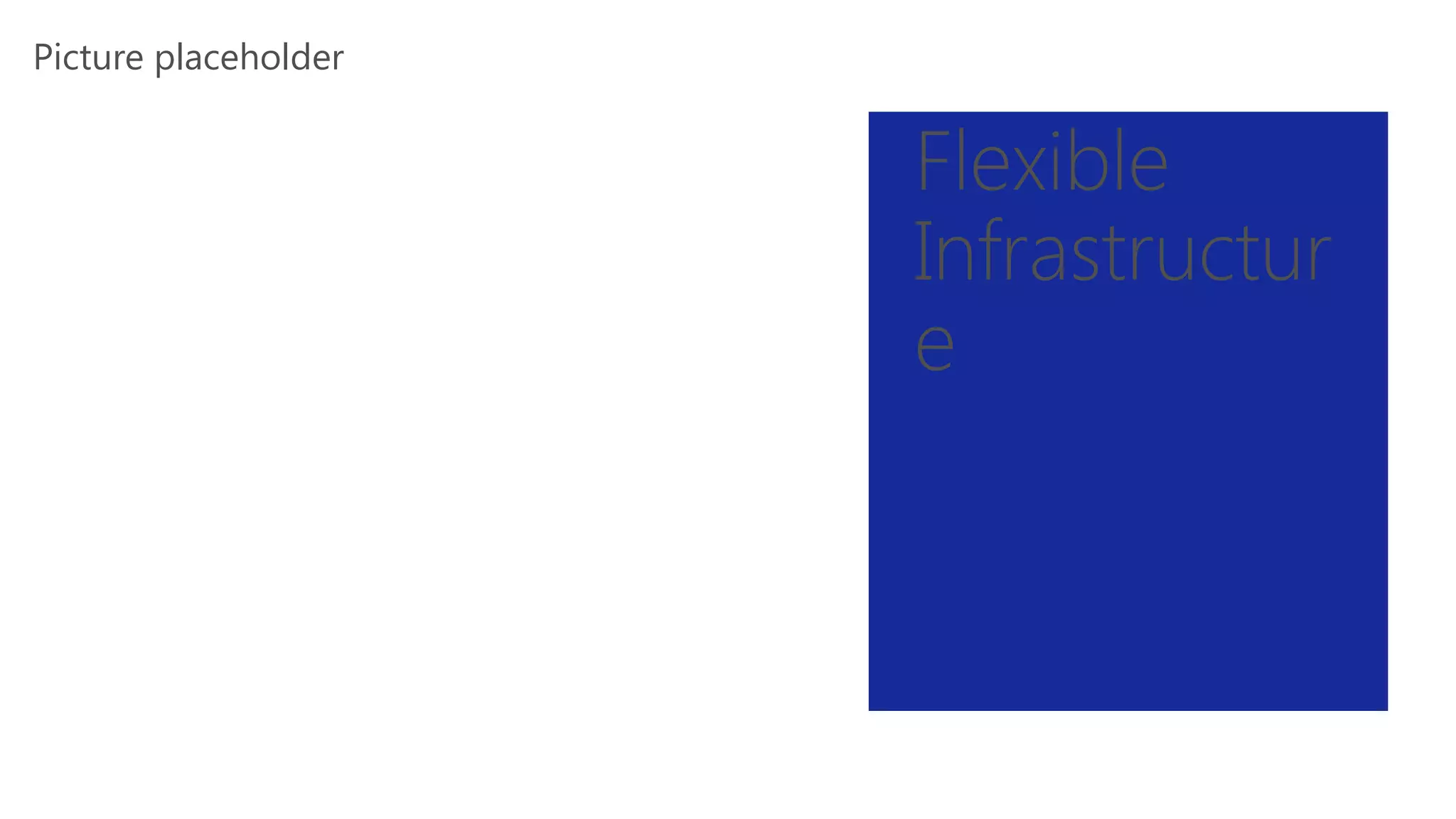 Picture placeholder
Flexible
Infrastructur
e
 