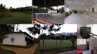 MVA Brasil - Apresentação Organização